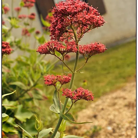 Holiday home Maison Familiale De Campagne Brantome