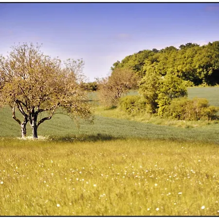 Maison Familiale De Campagne Brantome