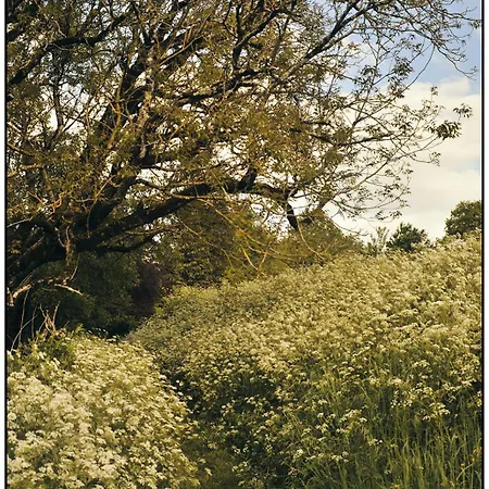 Maison Familiale De Campagne Brantôme